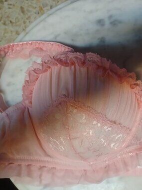 Plus Size Women's Under-Wire Lacey Bra NWOT 3XL Pink